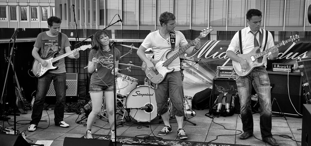 2012, Frankfurt, Bahnhofsviertelnacht, Miaplacidus - 2/15