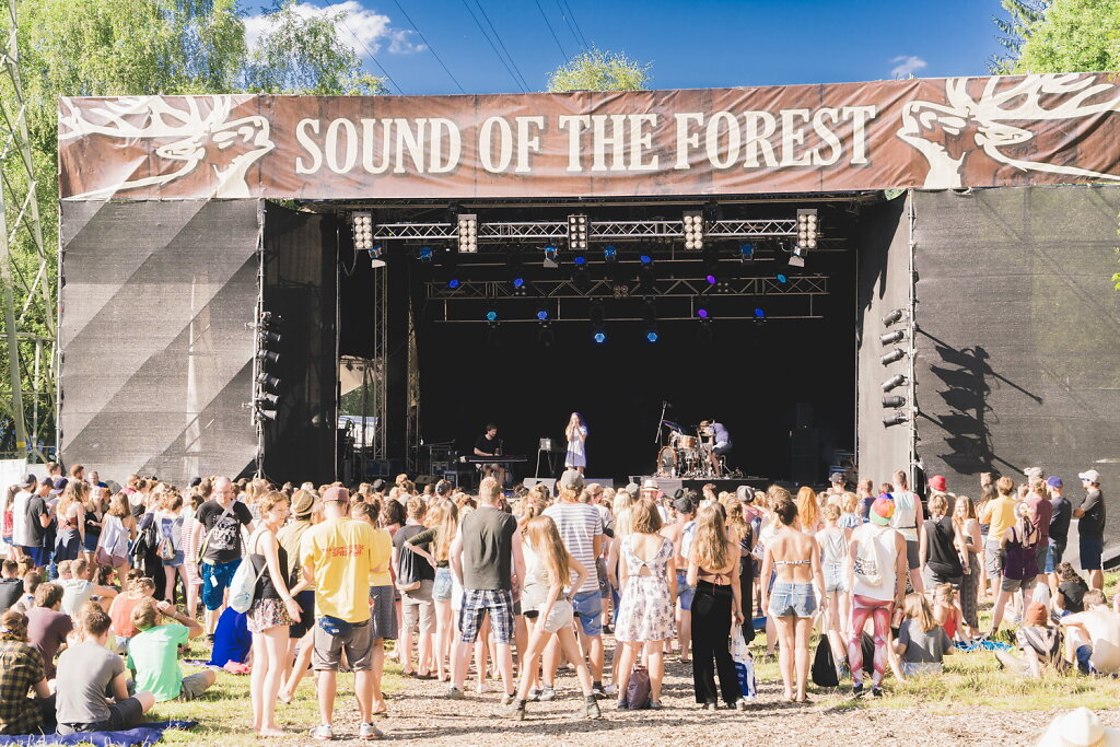 Sound of the Forest